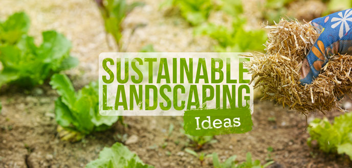 6 Sustainable Landscaping Ideas for a Greener Yard