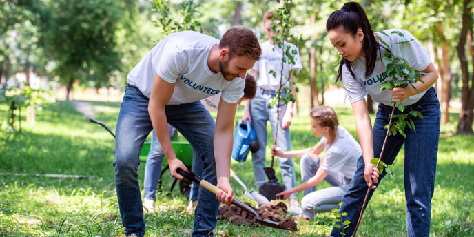 Team of Volunteers Planting Trees in Backyard