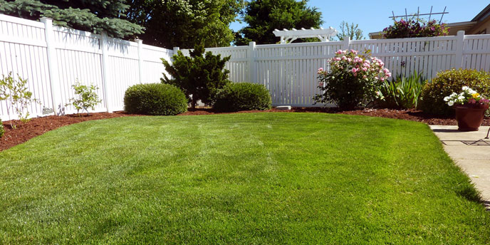 Open Backyard With Vinyl White Fence 