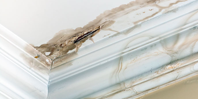 Homeowner Tip: Identify Roof Leaks