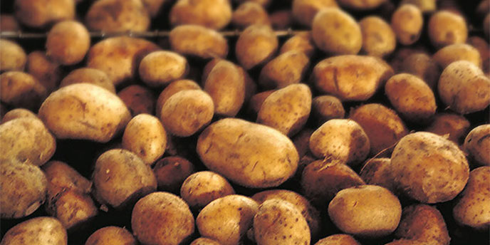 A Pile of Potatoes