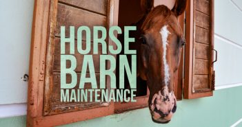 The Top 9 Horse Barn Maintenance Tips for First-Time Horse Owners