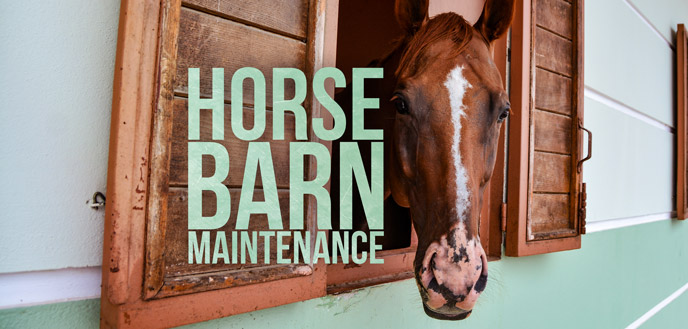 9 Barn Maintenance Tips For First Time Horse Owners Budget Dumpster