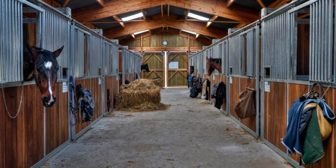 Horse Barn Aisle with Stables on Both Sides