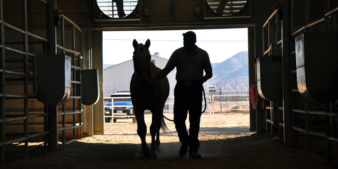 Silhouette of Horse and Owner Walking Through Barn