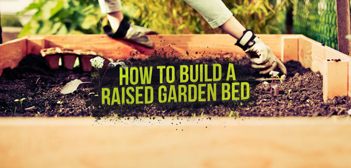 How to Build a Raised Garden Bed