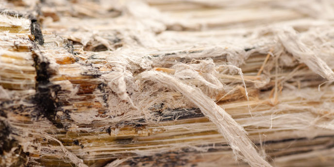 Close-up of Asbestos Fibers