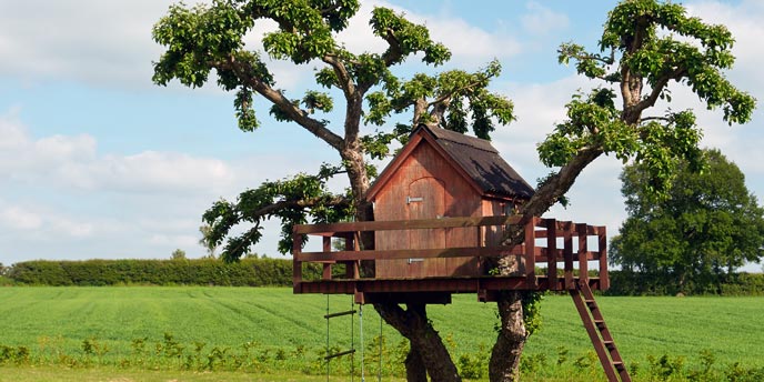 Backyard Treehouse With Rope Ladder