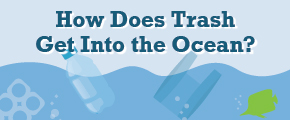 Trash in the Ocean