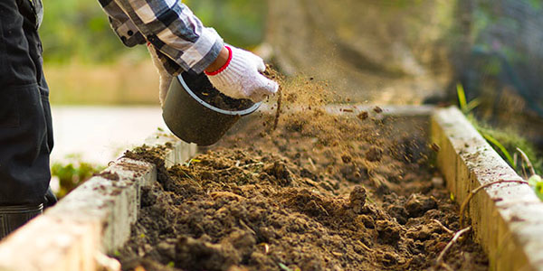 Person Adding Compost to Raised Garden Bed