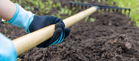 Person Raking Soil