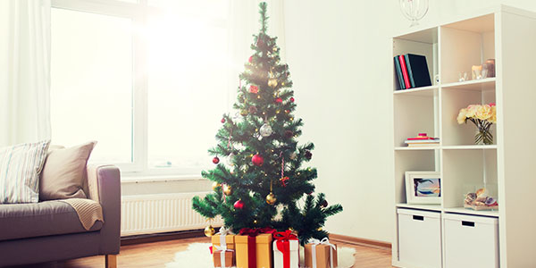 Artificial Christmas Tree in a Bright Living Room Next to Couch and Shelves