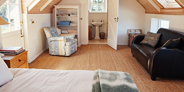 Attic Bedroom With Couch, Bookshelf and Bathroom