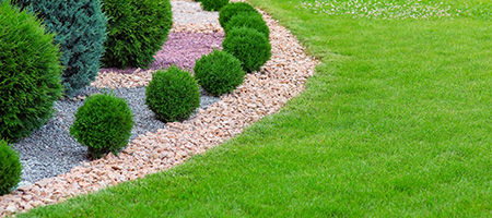 Close-Up Shot of Hardwood Mulch