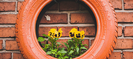 Repurposed Tire Turned Into a Planter