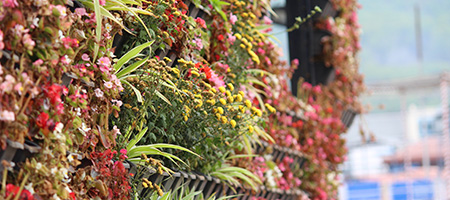 Vertical Garden with Red and Yellow Blooms