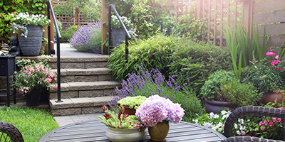 Beautifully Landscaped Backyard