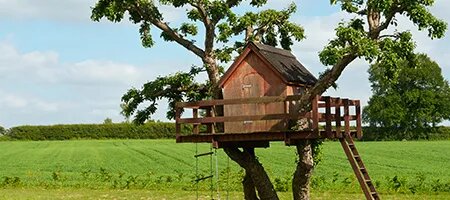 Backyard Treehouse With Rope Ladder