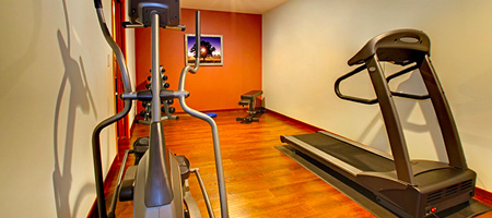 Elliptical and Treadmill Machines on Hardwood Floor in Basement Home Gym