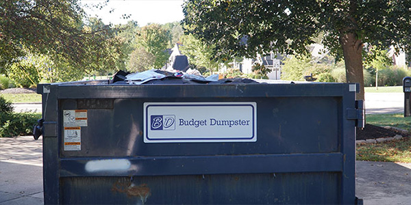 Close Up of Blue Budget Dumpster Dumpster