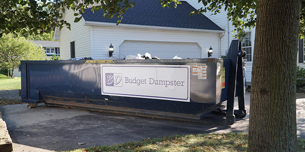 Budget Dumpster Roll Off Dumpster