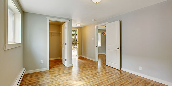 Bedroom With Walk-In Closet