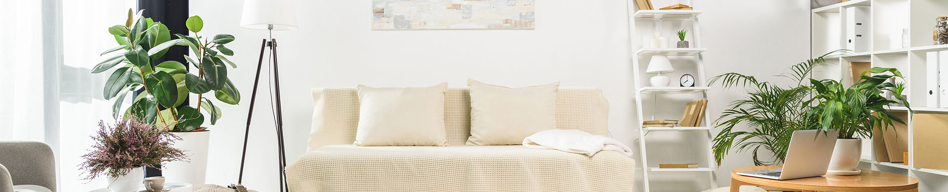 White Living Room With Couch, Rug, Plants and Bookshelves