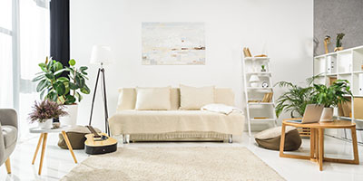 White Living Room With Couch, Rug, Plants and Bookshelves