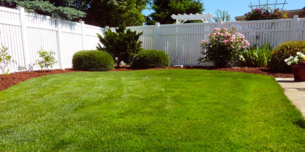 Open Backyard With Vinyl White Fence