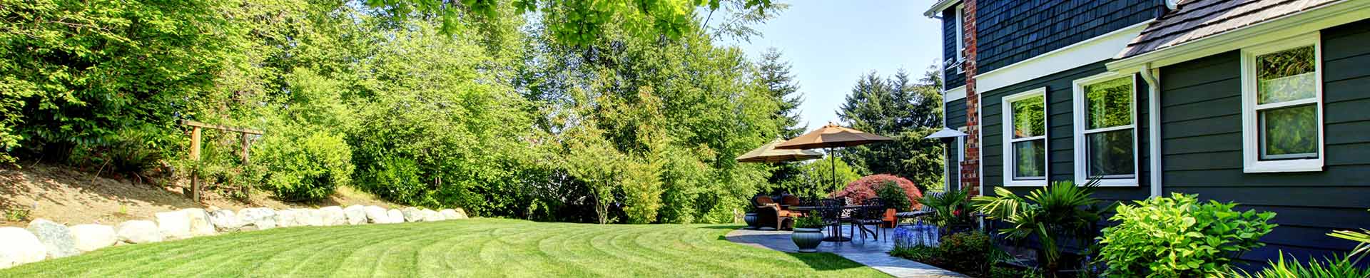 Privacy Trees To Fill In Your Backyard