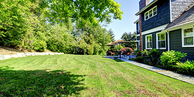 Large Green Backyard Behind Blue House