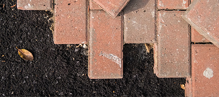 Red Brick Against Asphalt Driveway