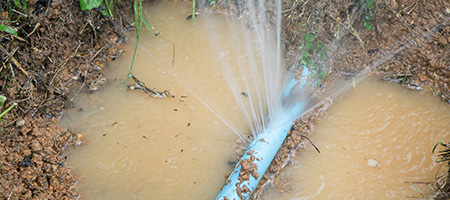 Broken Water Line in Muddy Puddle