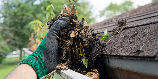 Hand Cleaning Out Gutters in the Summer