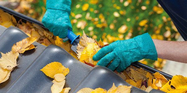 Homeowner Wearing Gloves to Clean Leaves Out of Rain Gutters