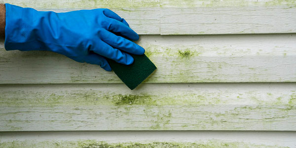 Man Cleaning Vinyl Siding