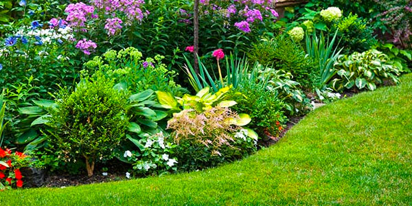 Colorful Flower Beds Outside Home