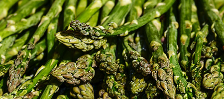 Close Up on a Bunch of Asparagus