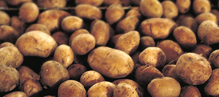 A Pile of Potatoes