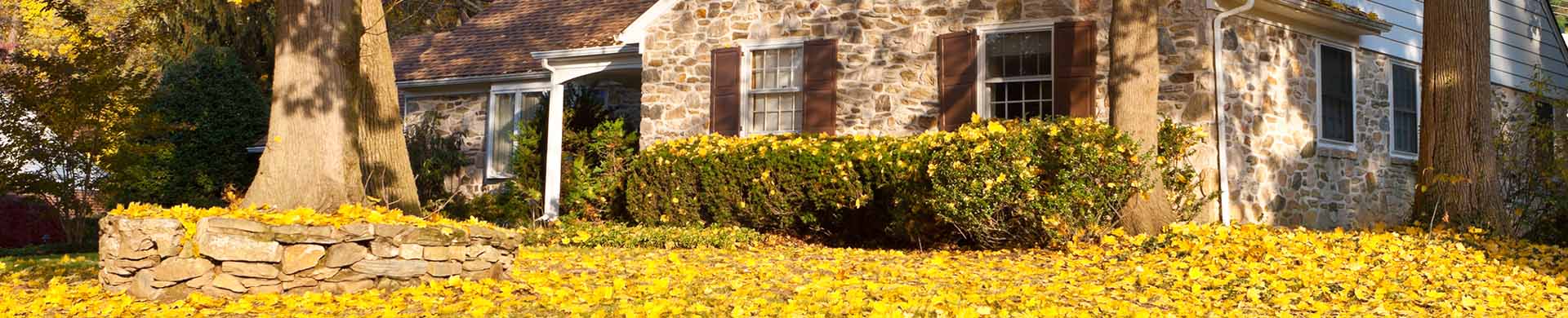 Stone House with Yard Covered in Yellow Leaves