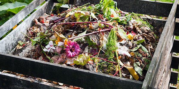 Compost Pile in Wooden Bin