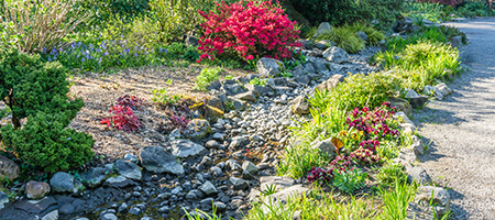 Creek Bed Surrounded by Grass and Red Flowers