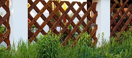 Dark Brown Lattice Fence