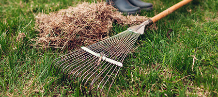 Clearing Dry Grass From Lawn With Rake and Boots