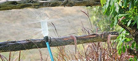 Plastic Bottle Sprinkler Attached to Fence