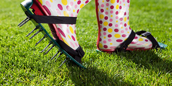 Pink and yellow polka dot boots with spike shoes aerating lawn