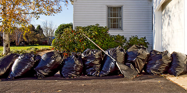 Black garbage bags full of leaves waiting for pickup in driveway