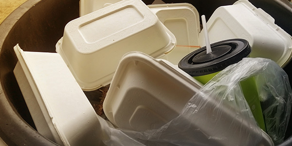 Foam Food Containers in Trashcan