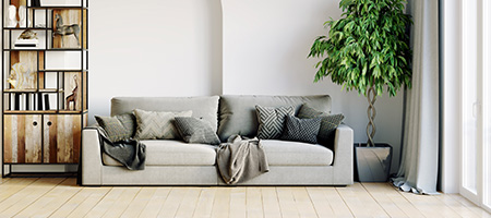 Clean Living Room With Gray Sofa, Bookshelf and Plant