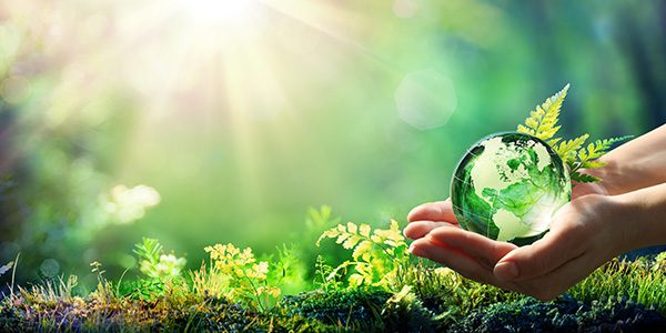 Hand Holding Green Globe in Nature Background